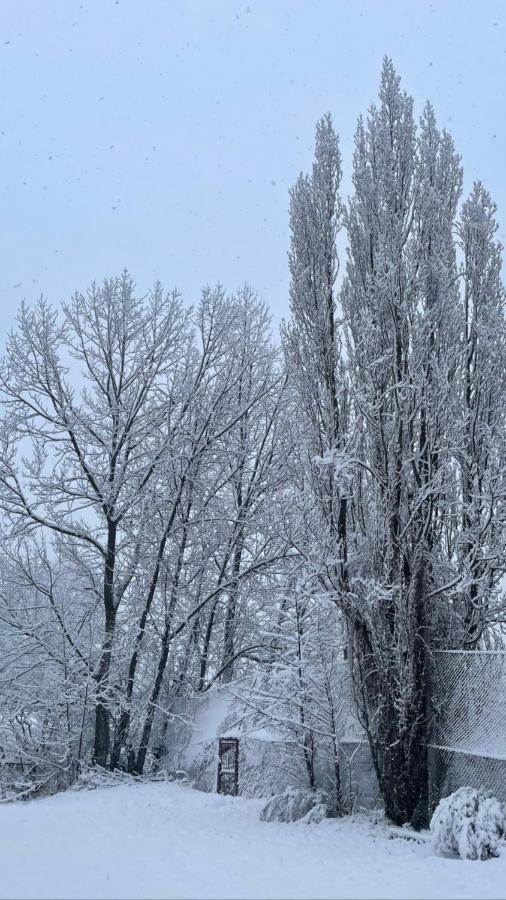 Aldea Patagonia Pansiyon Coyhaique Dış mekan fotoğraf